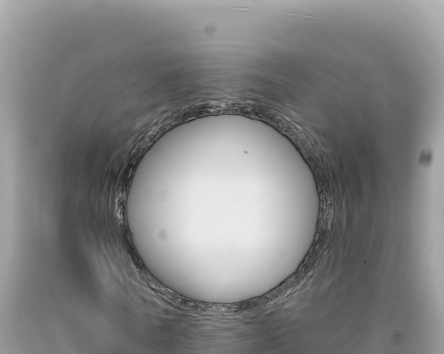 X0000094190770200710260954