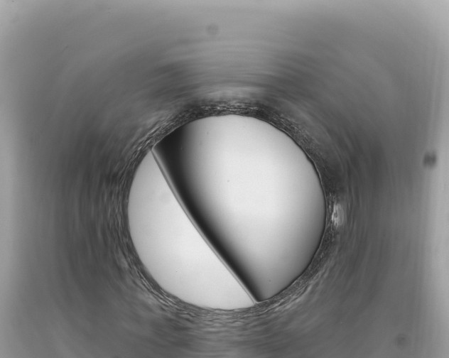 X0000094190771200710260954