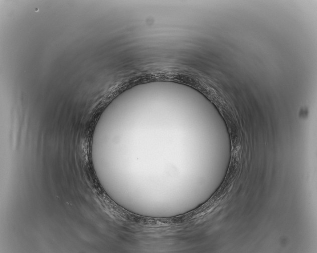 X0000094190772200710260954