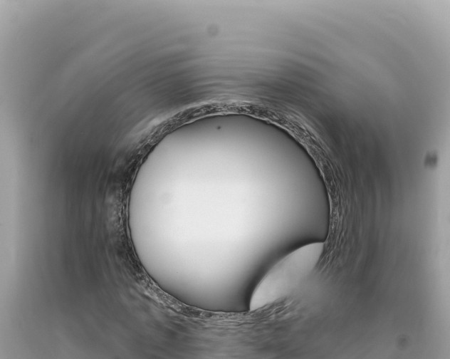 X0000094190773200710260954