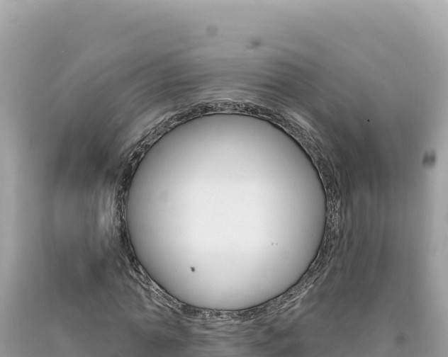 X0000094190774200710260954