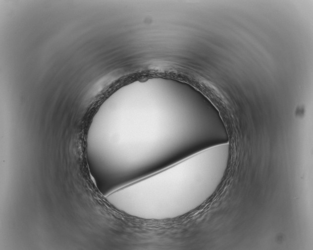 X0000094190776200710260953