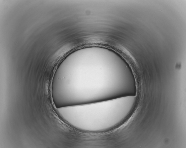X0000094190777200710260953