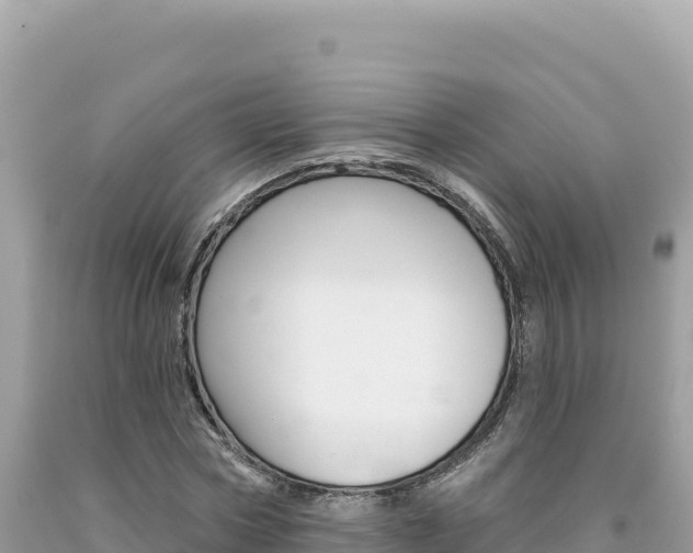 X0000094190778200710260953
