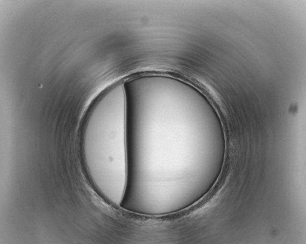 X0000094190779200710260953