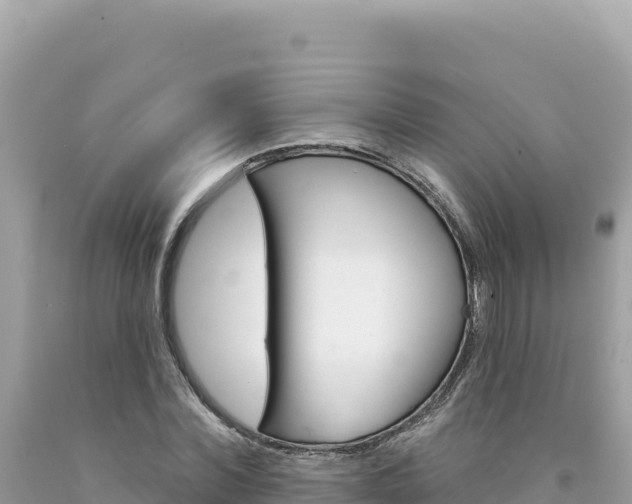 X0000094190780200710260953