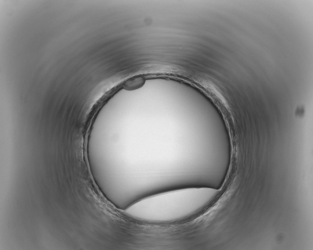 X0000094190781200710260953