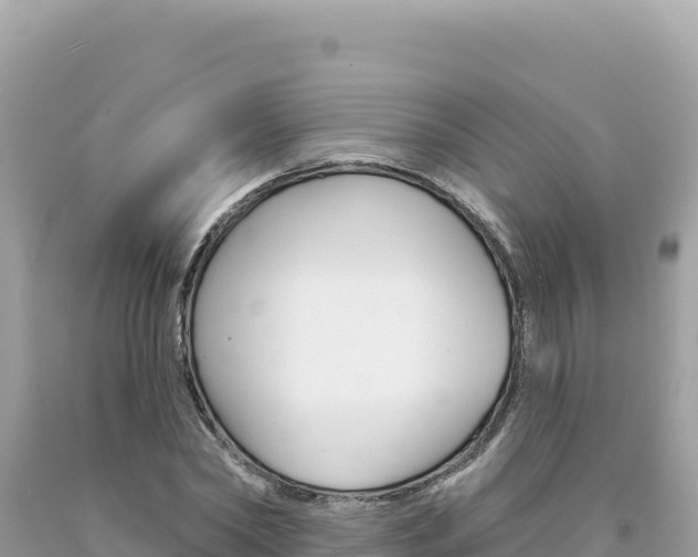 X0000094190782200710260953