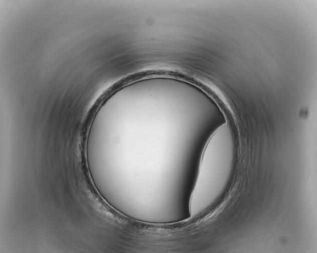 X0000094190783200710260953