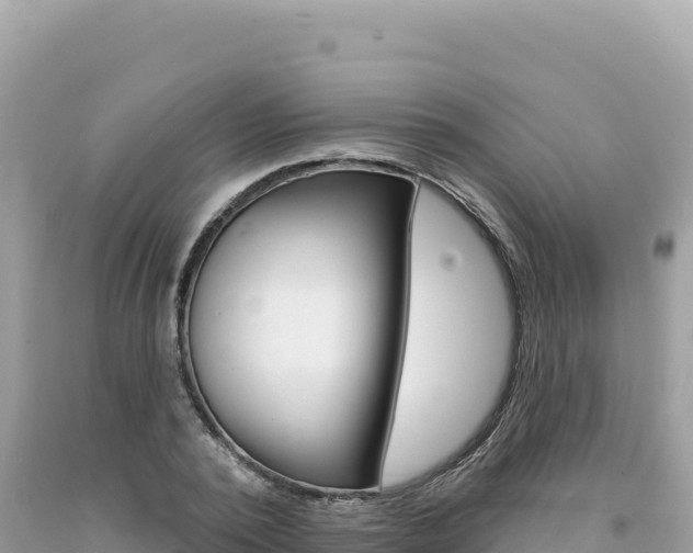 X0000094190784200710260953
