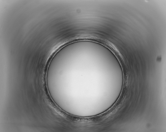 X0000094190786200710260953