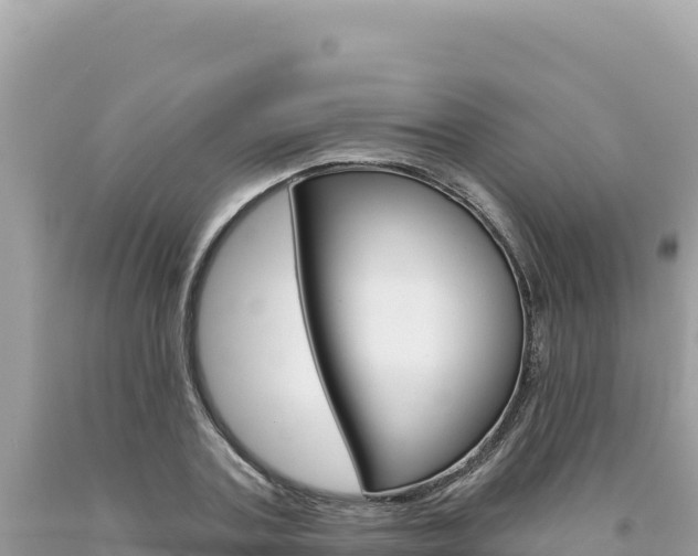 X0000094190787200710260953
