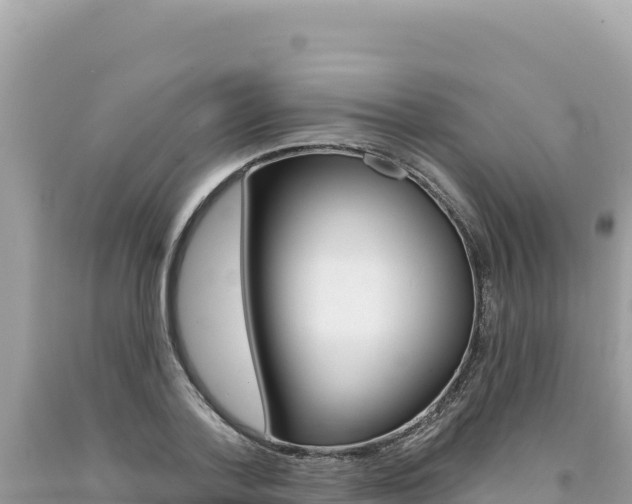 X0000094190788200710260953