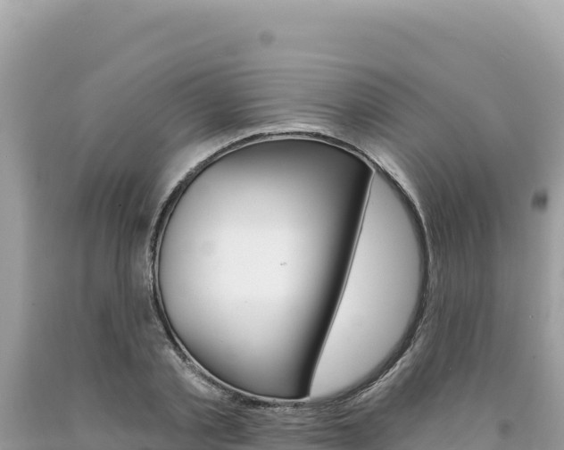 X0000094190789200710260953