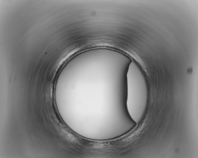 X0000094190790200710260953