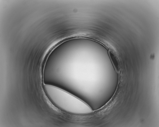 X0000094190792200710260953