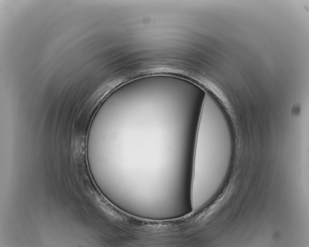 X0000094190793200710260953
