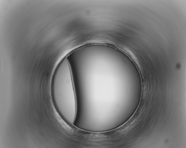 X0000094190795200710260953
