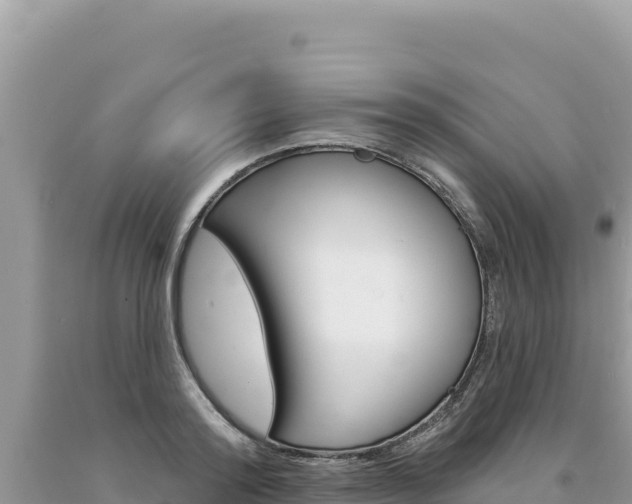 X0000094190796200710260953