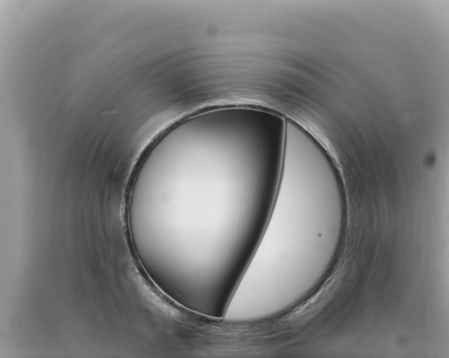 X0000094190797200710260953