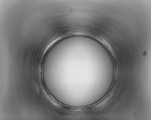 X0000094190798200710260953