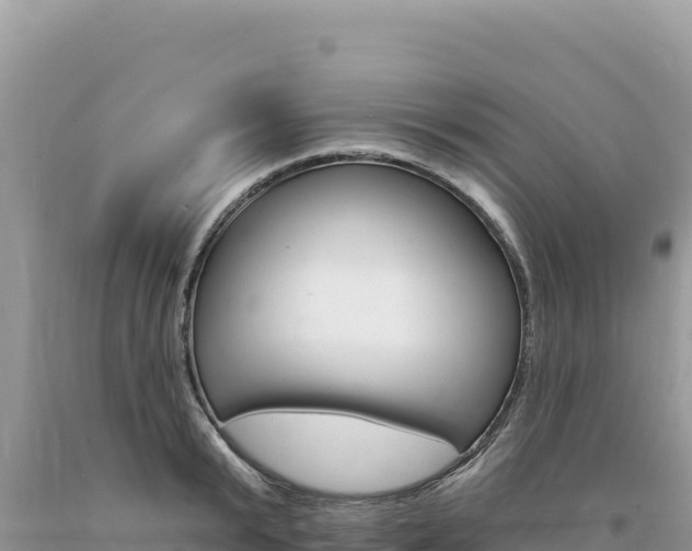 X0000094190799200710260953
