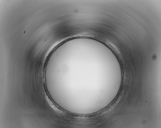 X0000094190800200710260953