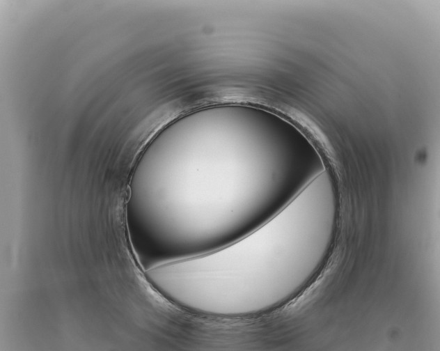 X0000094190801200710260953