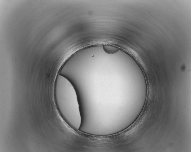 X0000094190802200710260953