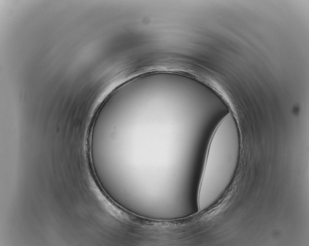 X0000094190803200710260953