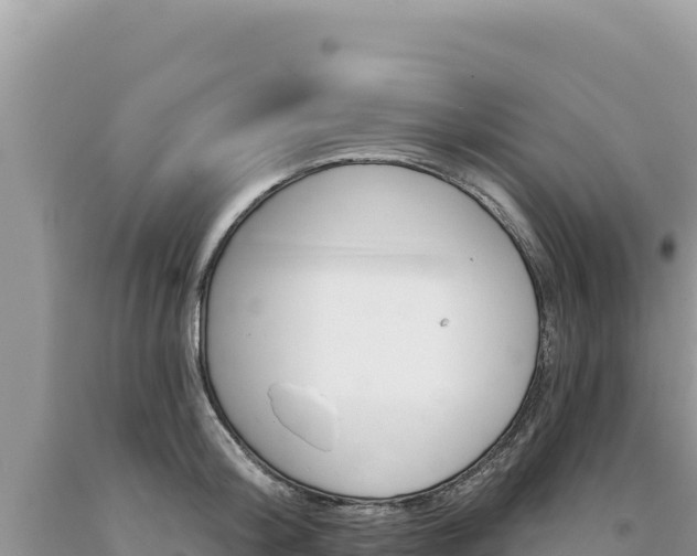 X0000094190804200710260953