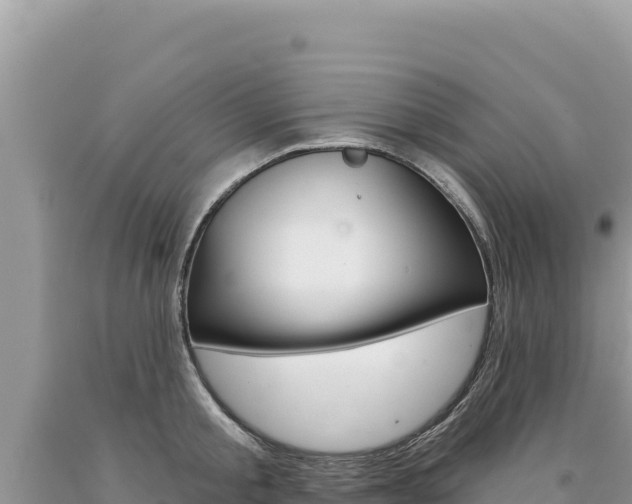 X0000094190805200710260953