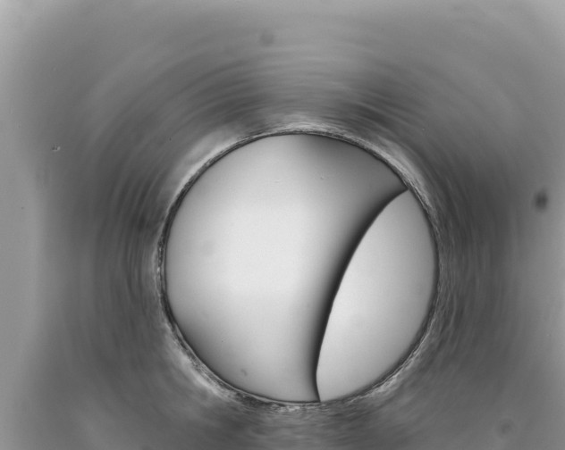 X0000094190806200710260953