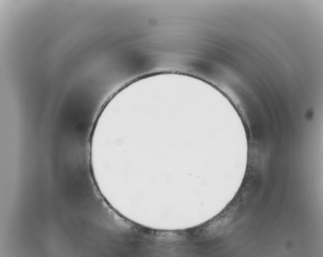 X0000094190807200710260953