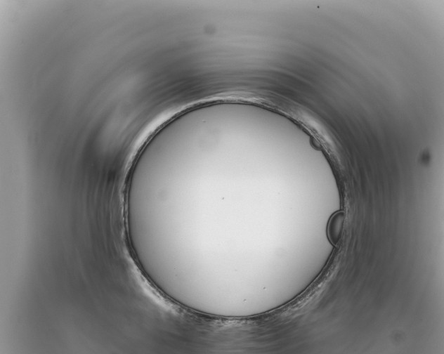 X0000094190808200710260953