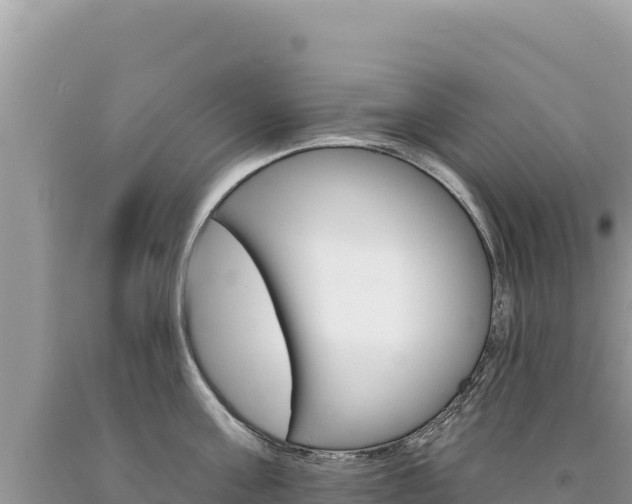 X0000094190811200710260953