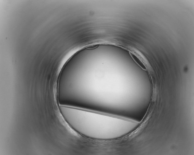 X0000094190812200710260953