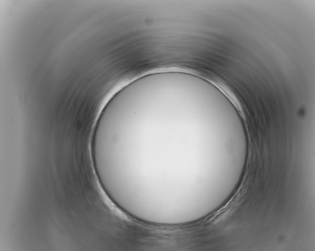 X0000094190813200710260953