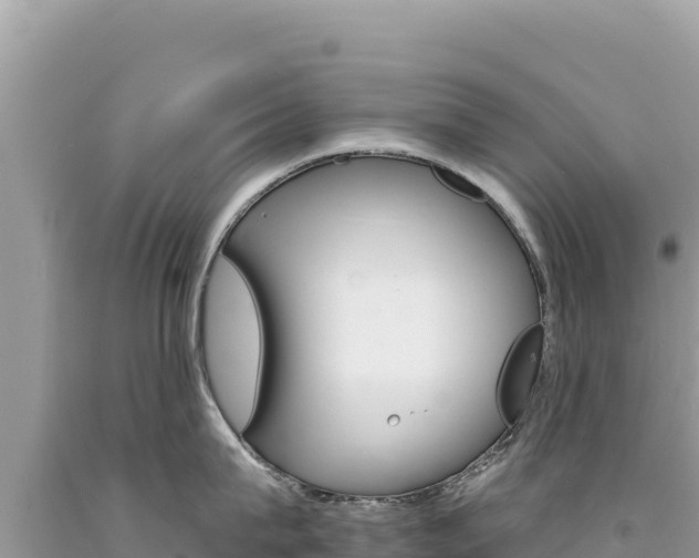 X0000094190815200710260953