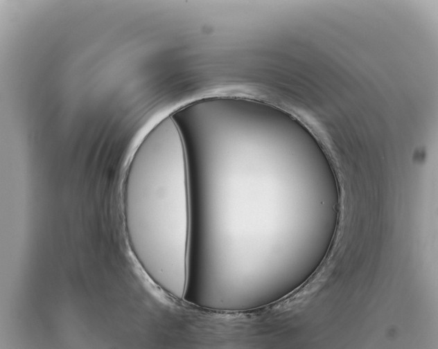X0000094190816200710260953