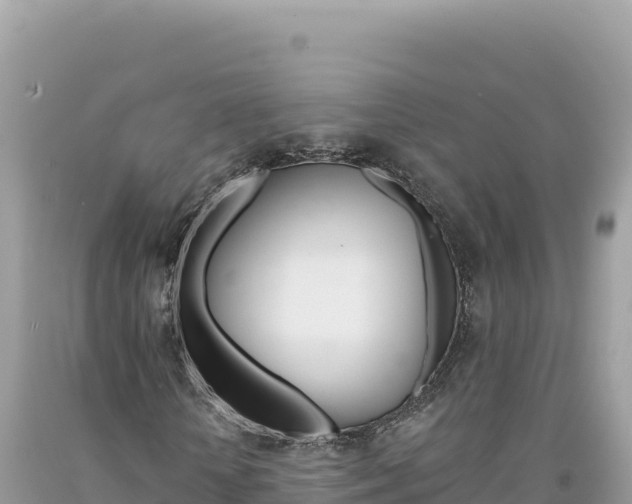 X0000094190818200710260952