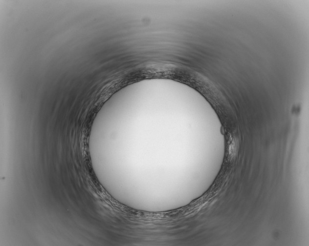 X0000094190819200710260952