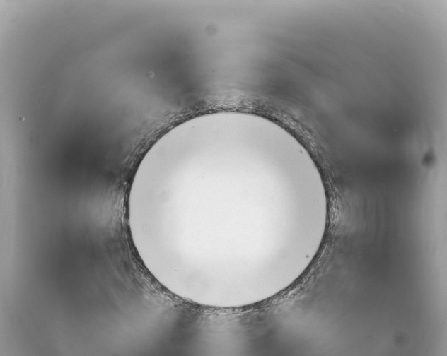 X0000094190820200710260952