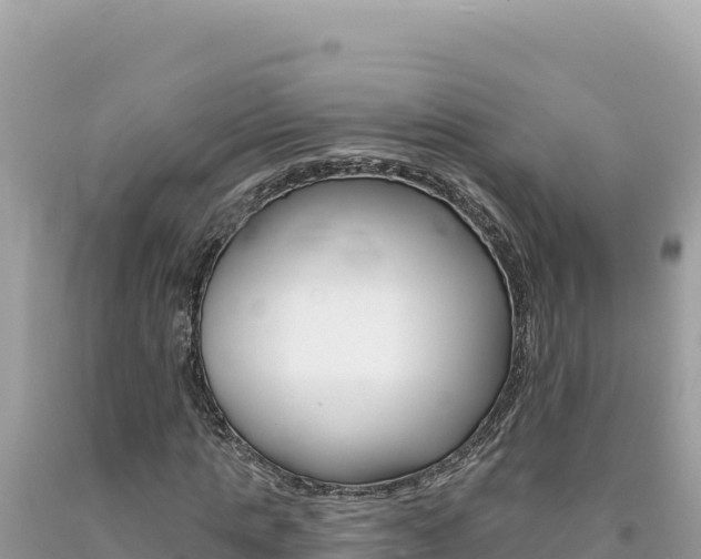 X0000094190821200710260952