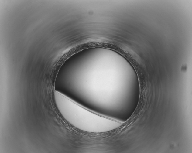 X0000094190822200710260952