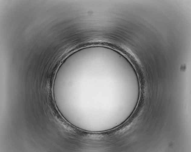 X0000094190825200710260952