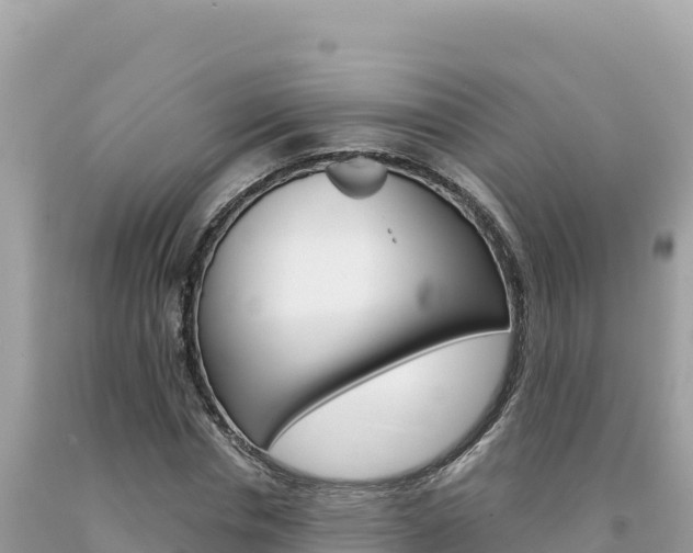 X0000094190826200710260952