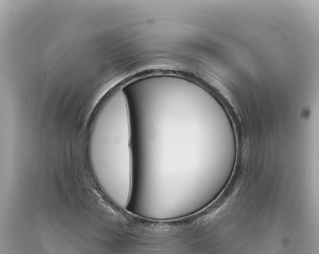 X0000094190829200710260952