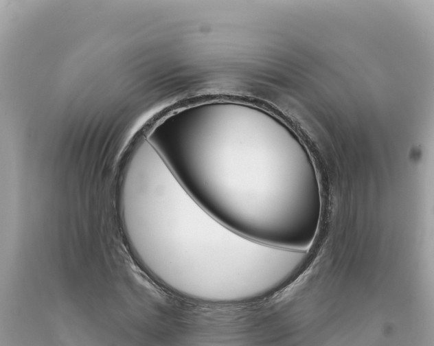 X0000094190830200710260952