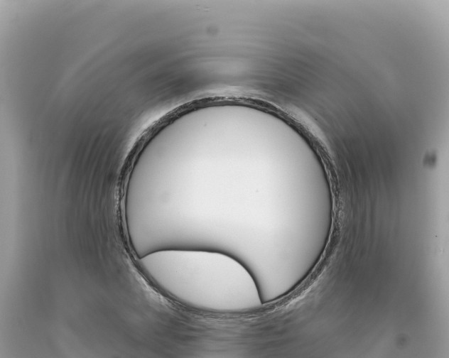 X0000094190831200710260952